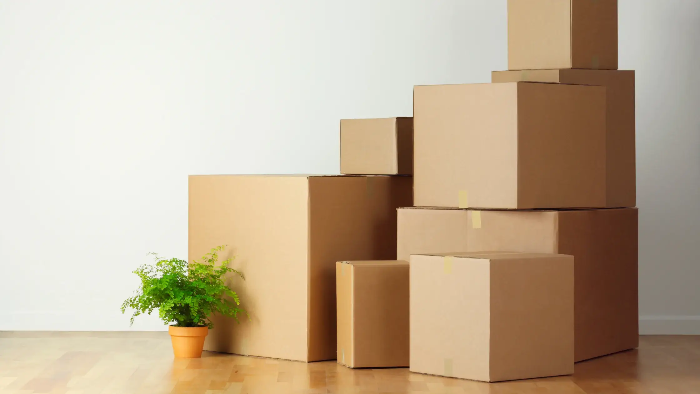 Conseils pour préparer son box pour le Printemps