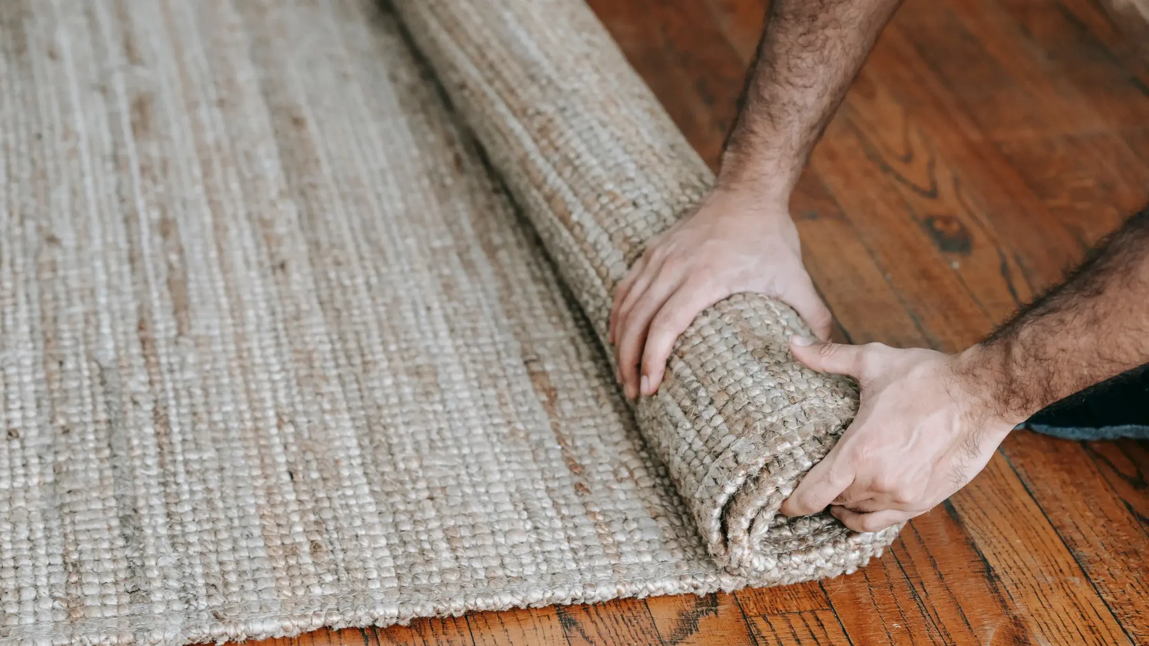 Protection des tapis et textiles